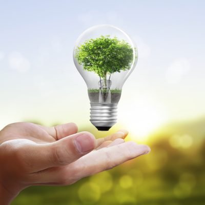 Light bulb, in a hand