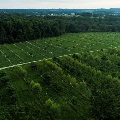 Silvopasture_PA_CreditAgroforestryCoalition