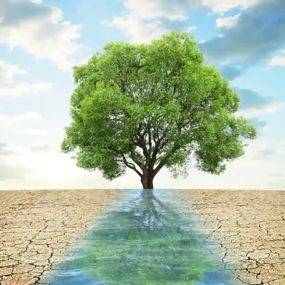 climate-change-and-sustainability-1