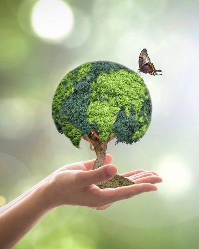 Environmental conservation, world wood day and sustainable environment for csr - corporate social responsibility campaign concept
