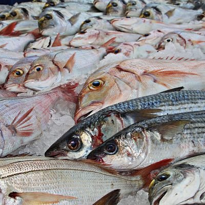 fish-1617442_1280